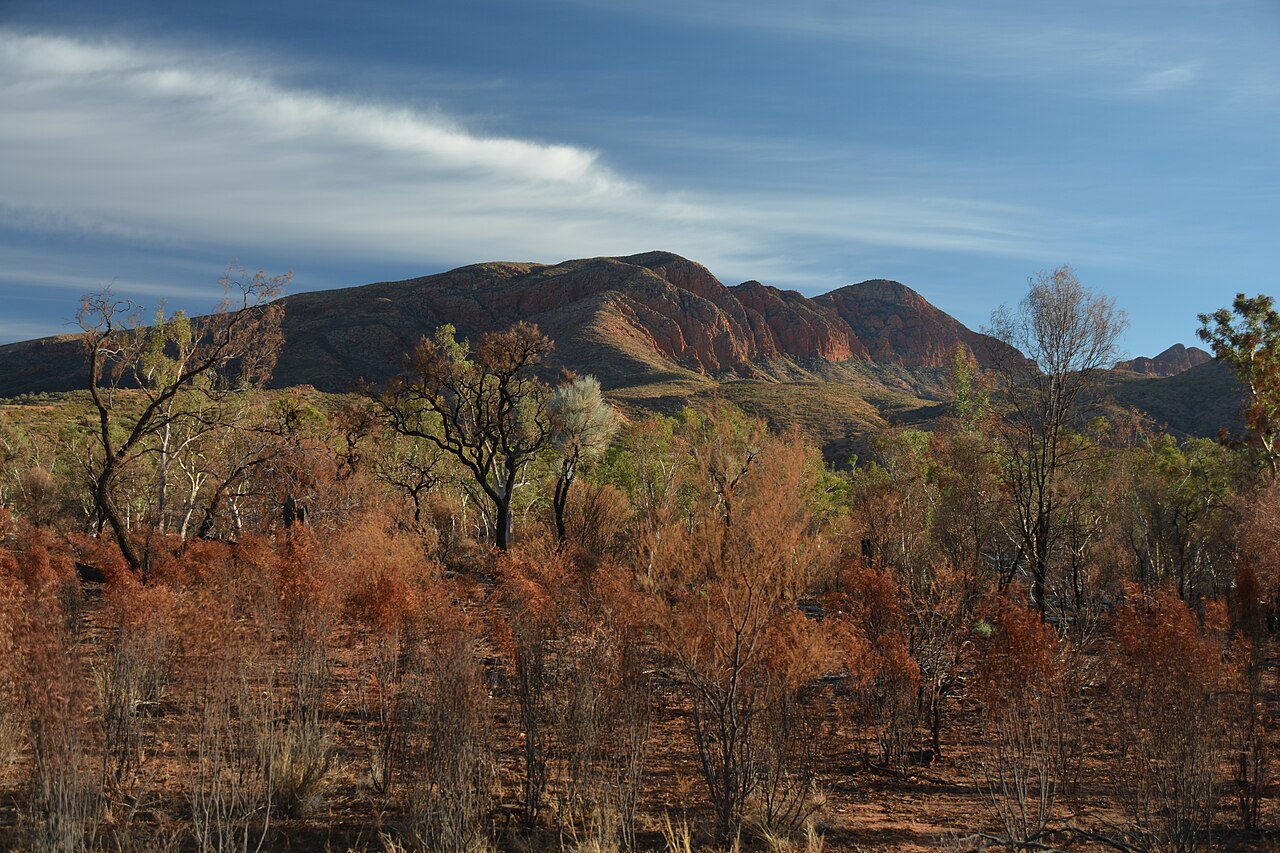 Mount Sonder rising above the desert scrub at golden hour